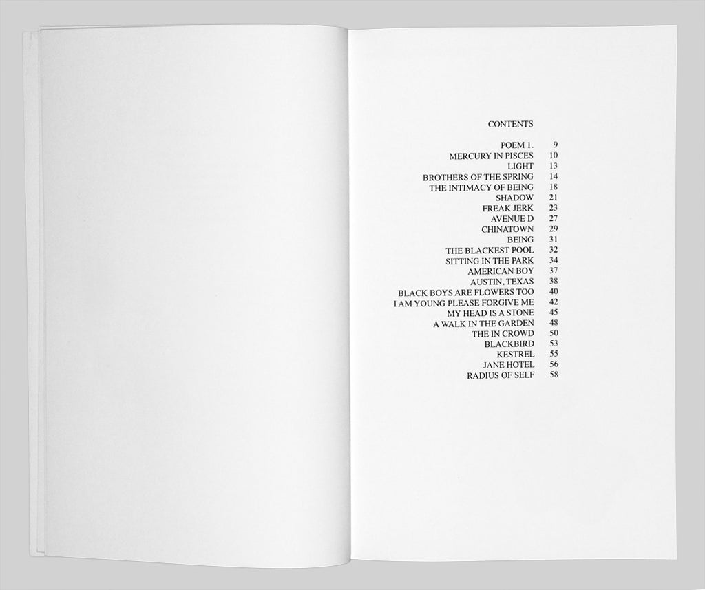 From the Silence of Duchamp to the Noise of Boys by Michael David Quattlebaum Jr.